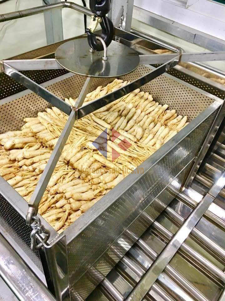 nhân sâm nguyên củ tẩm mật ong hàn quốc