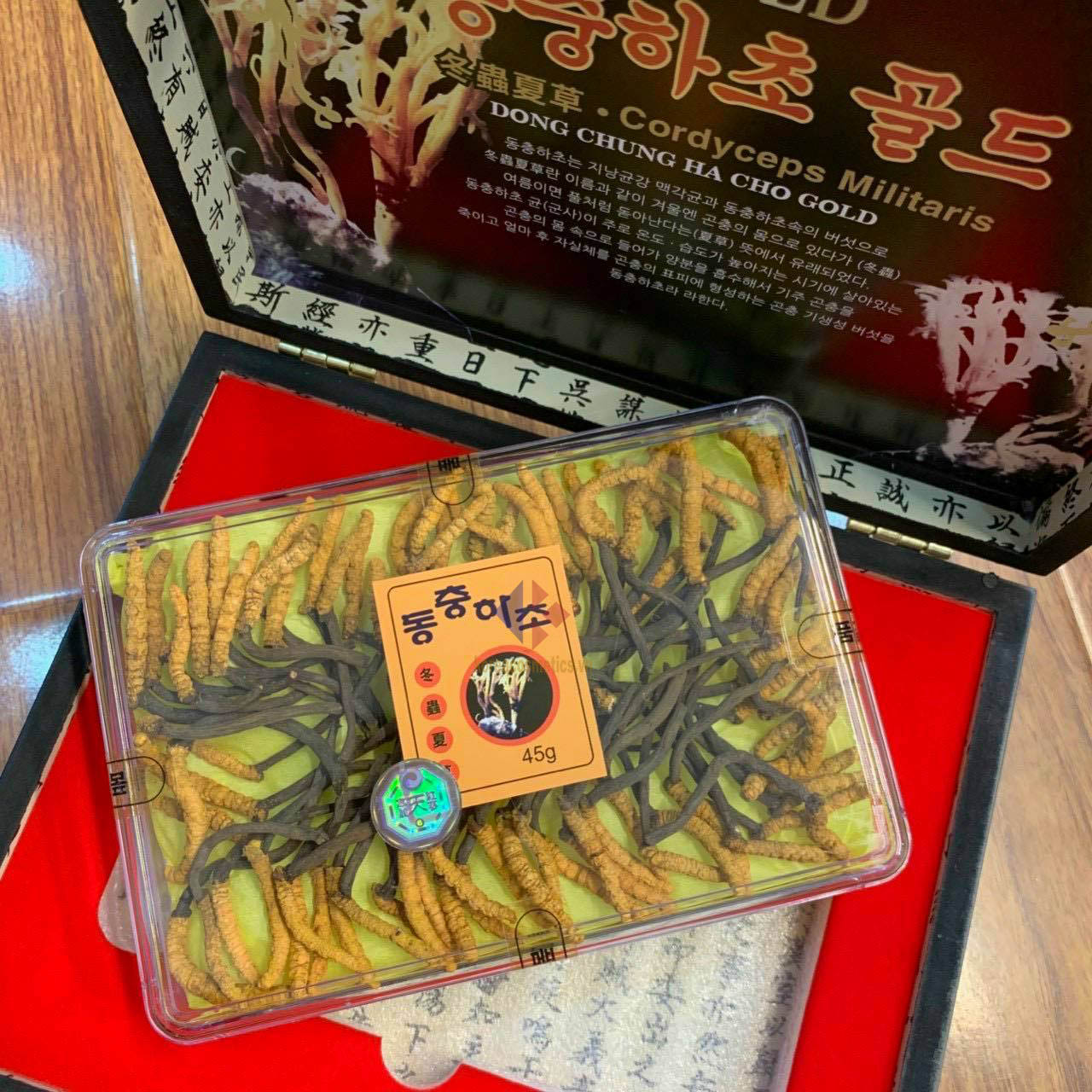 Dong chung ha cho gold Cordyceps Militaris
