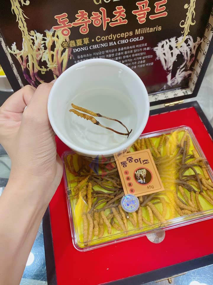 Đông trùng hạ thảo Hàn Quốc 