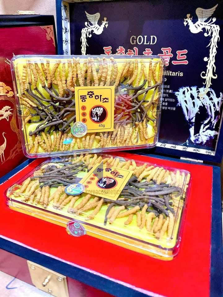 Đông trùng hạ thảo nguyên con