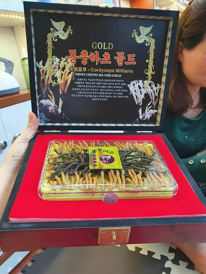 Đông trùng hạ thảo Hàn Quốc 