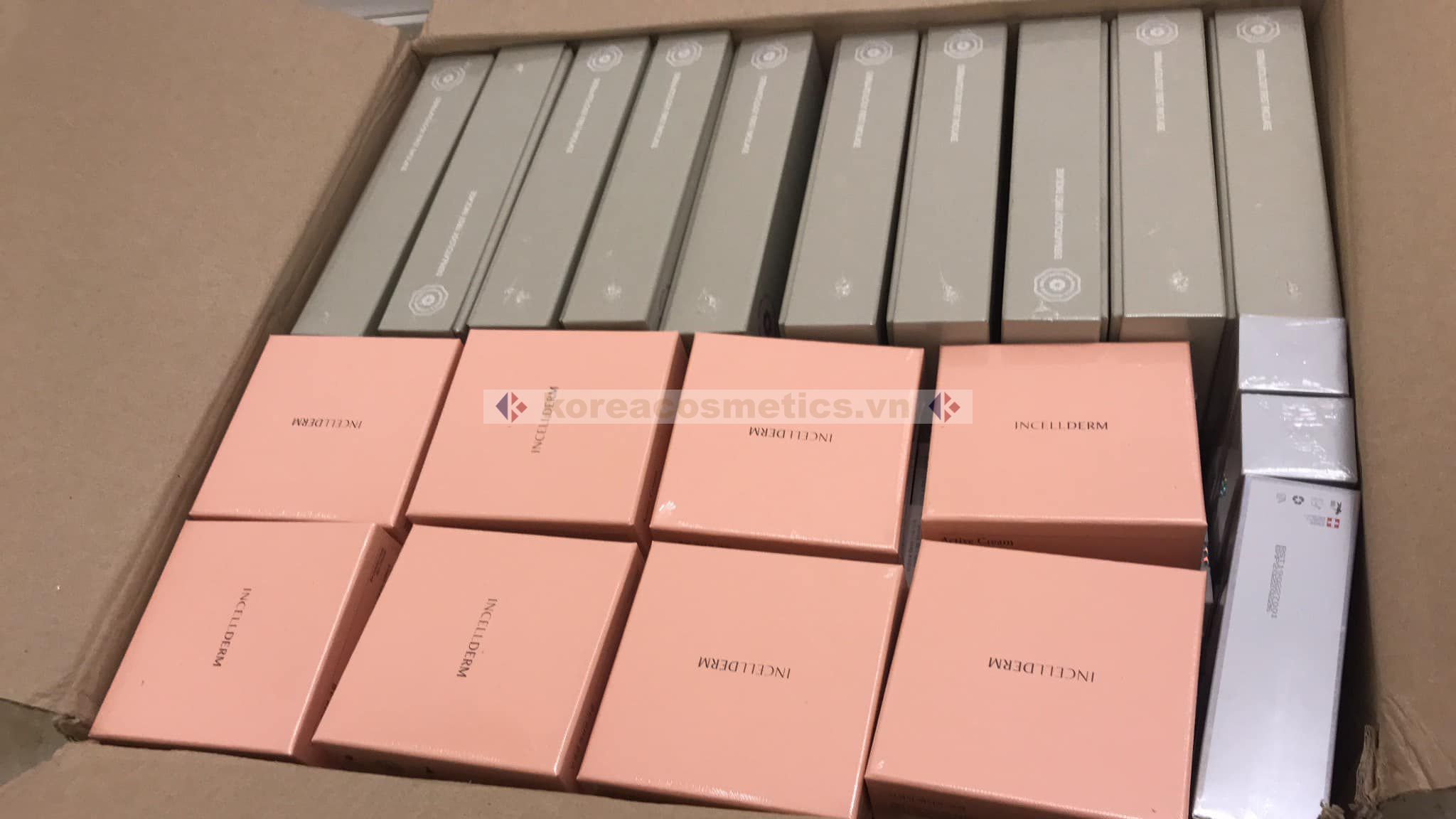 set incellderm | mỹ phẩm incellderm | review incellderm