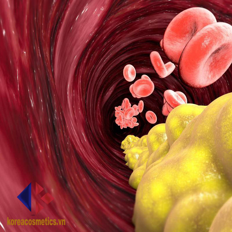 cholesterol là gì | cholesterol có hại không