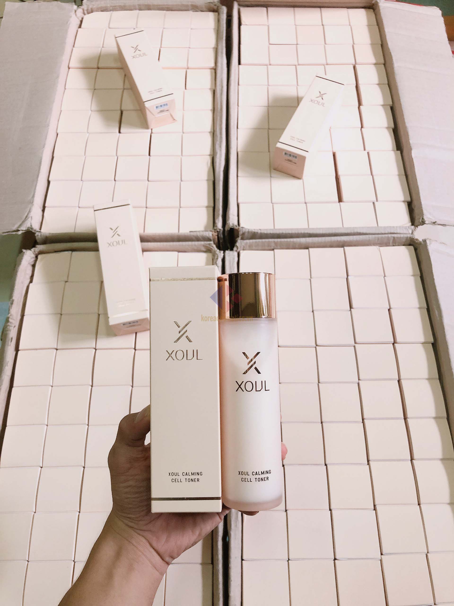 Bộ dưỡng da Xoul