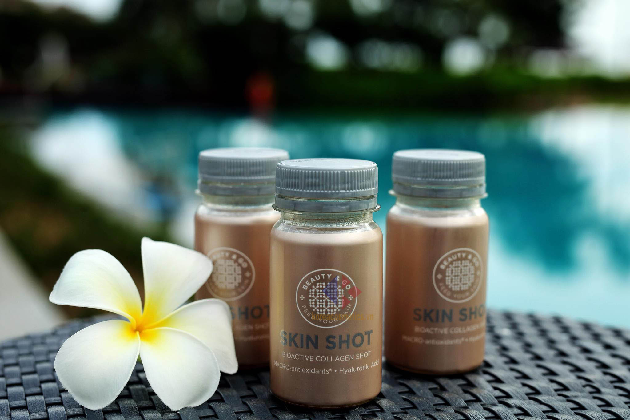 Skin Shot Bioactive Collagen