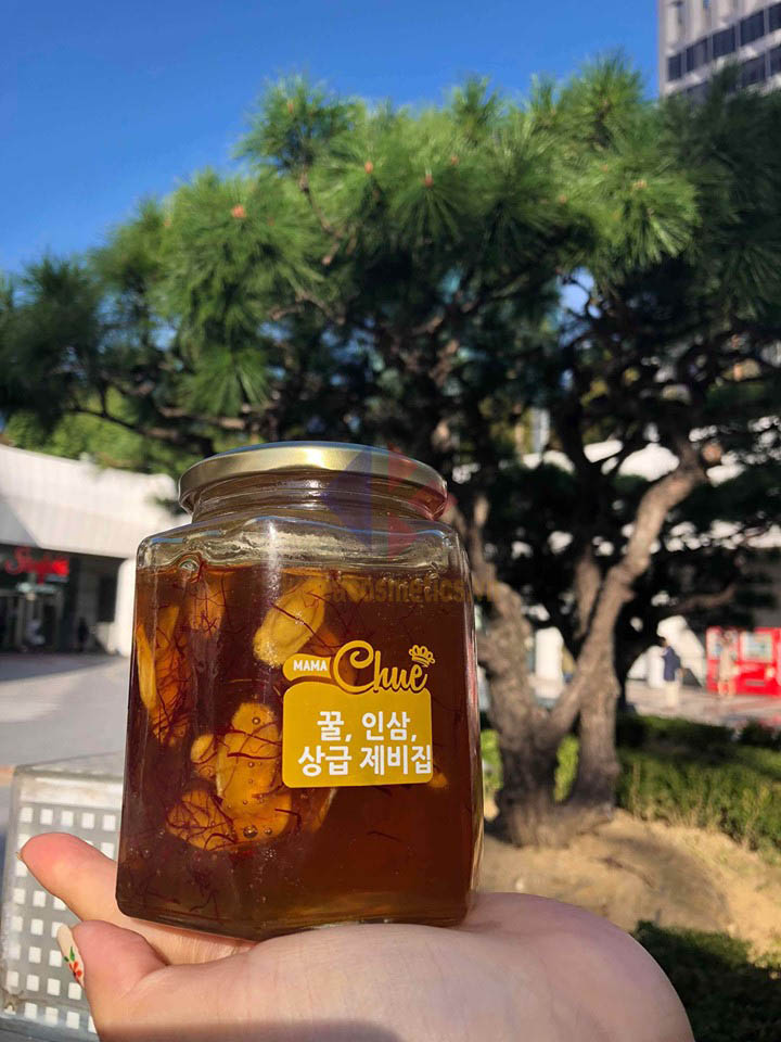sâm saffron có tốt không | review sâm saffron mamachue